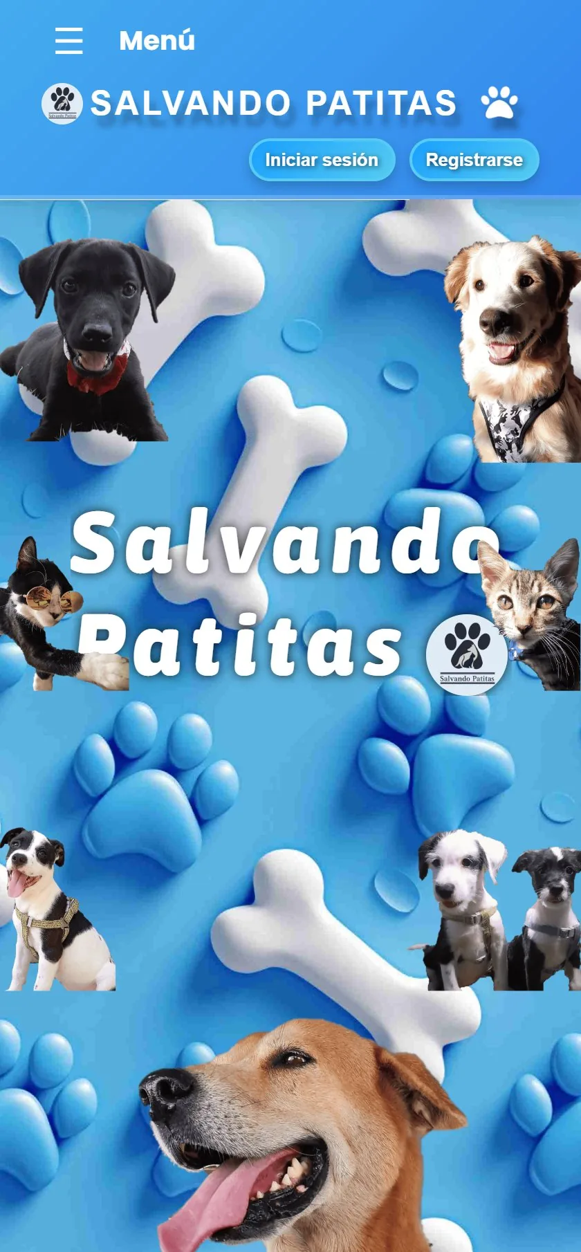 Salvando Patitas, phone view